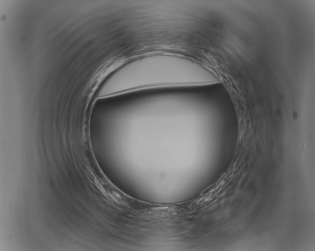 X0000065970050200603030915
