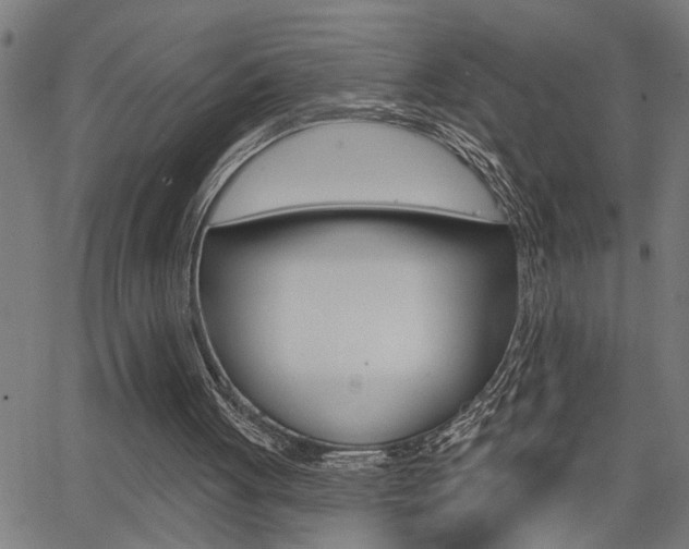 X0000065970051200603030915