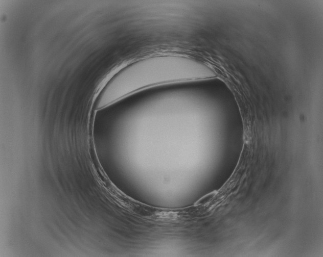 X0000065970052200603030915