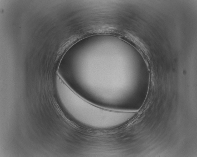 X0000065970105200603030915