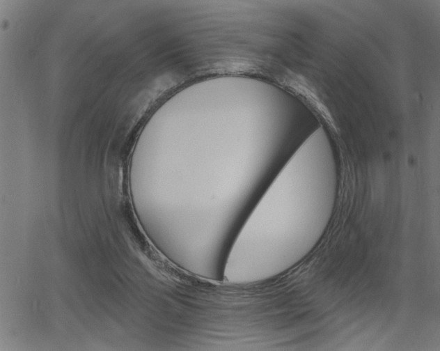 X0000065970110200603030915