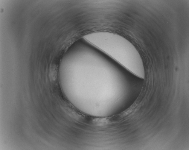 X0000065970133200603030914