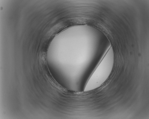 X0000065970141200603030914