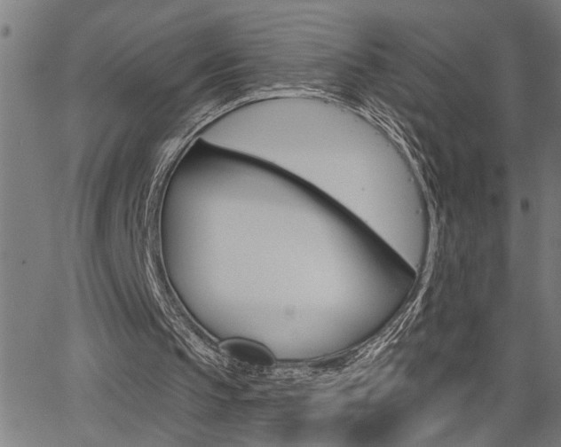 X0000065970145200603030913