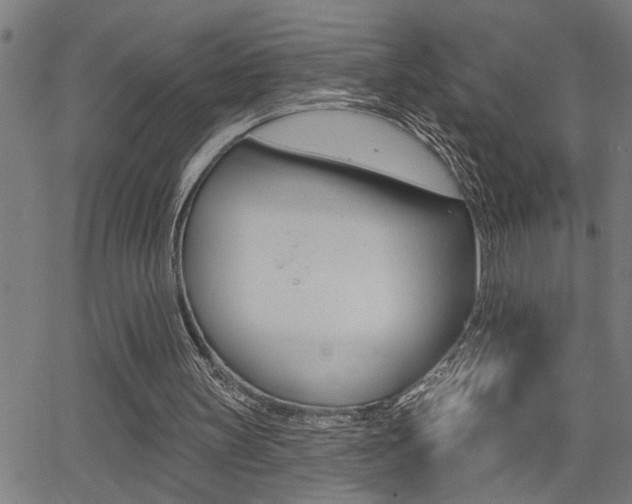 X0000065970147200603030913