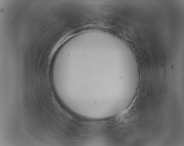 X0000065970150200603030913