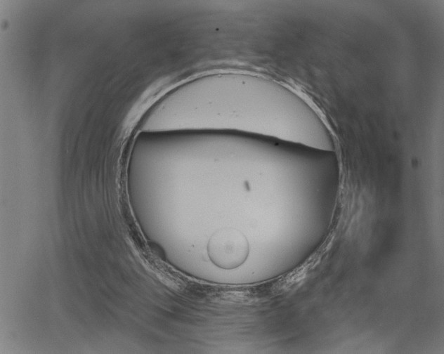 X0000065970151200603030913