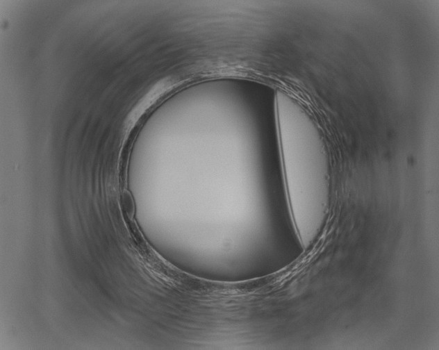 X0000065970195200603030913