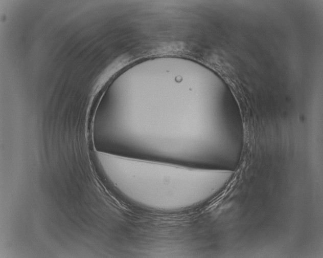 X0000065970196200603030913