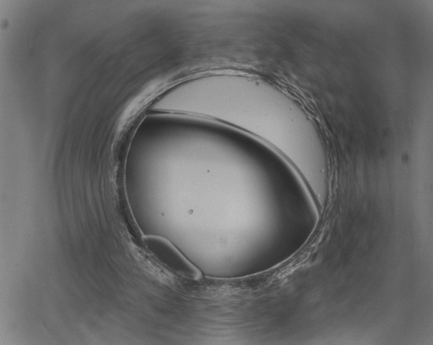 X0000065970197200603030913