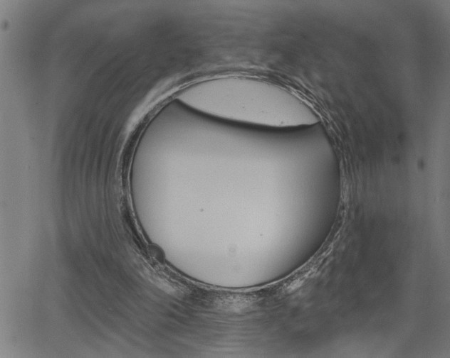 X0000065970198200603030913