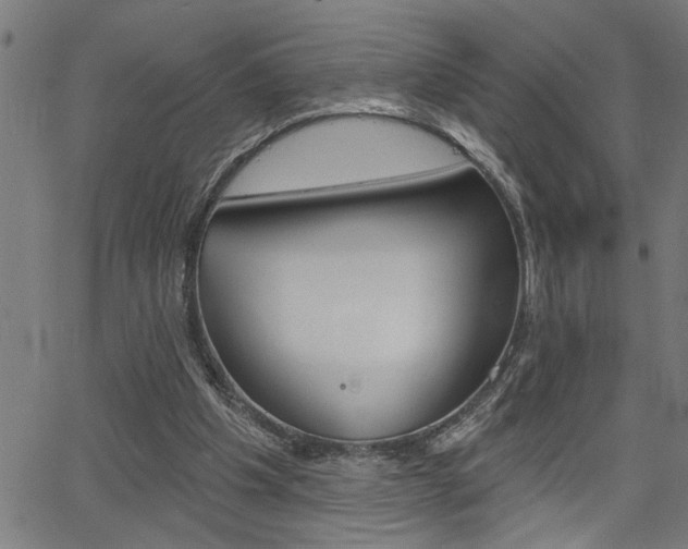 X0000065970201200603030913