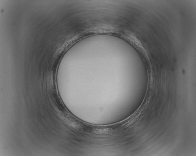 X0000065970202200603030913