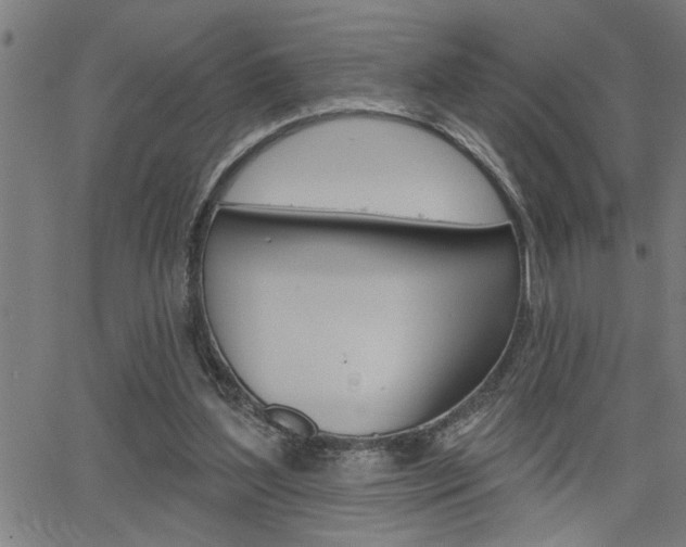 X0000065970204200603030913