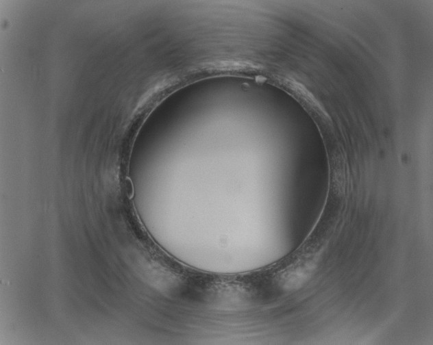 X0000065970207200603030913