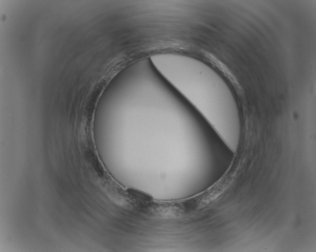 X0000065970209200603030913