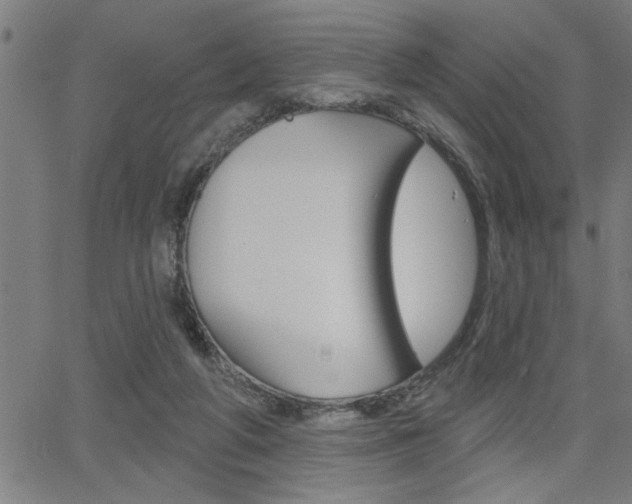 X0000065970210200603030913