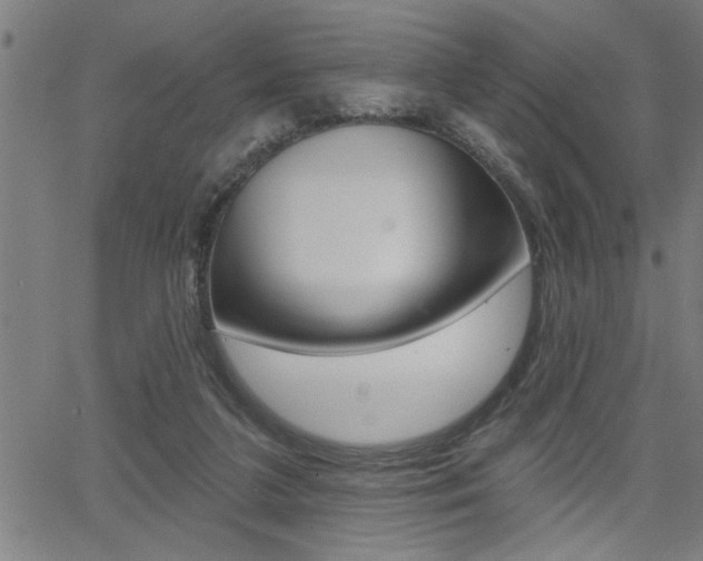 X0000065970211200603030913