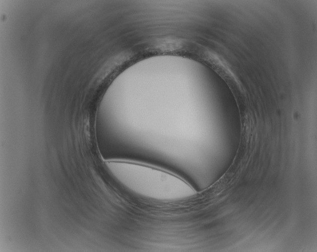 X0000065970212200603030913