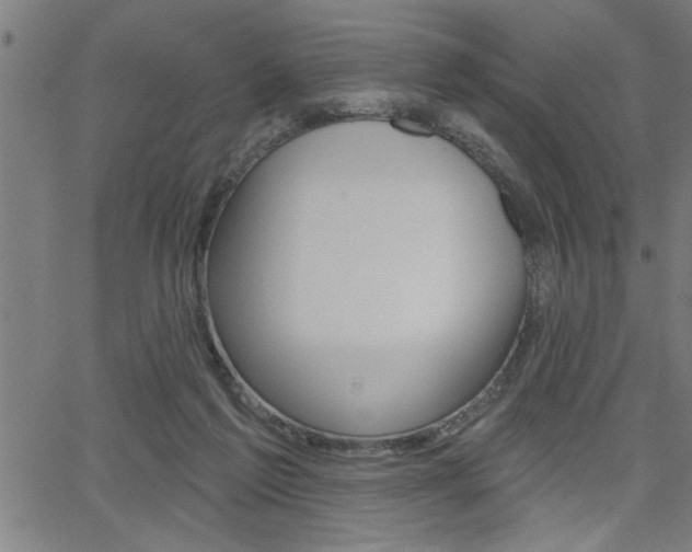 X0000065970213200603030913