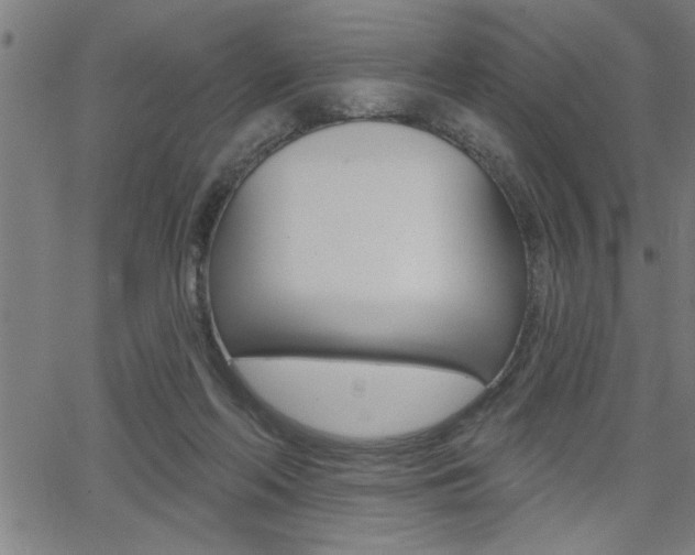 X0000065970214200603030913