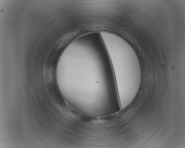 X0000065970216200603030913