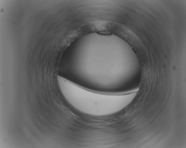 X0000065970223200603030913