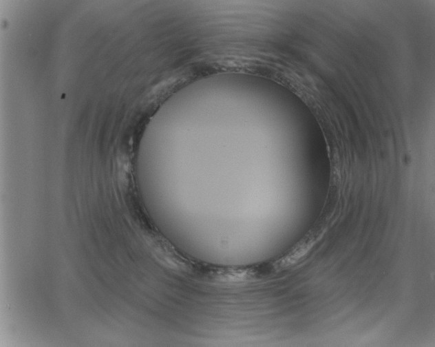 X0000065970235200603030913