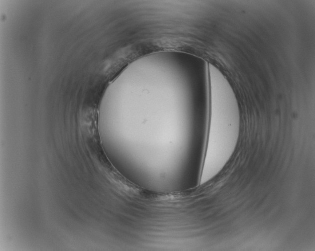 X0000065970237200603030913