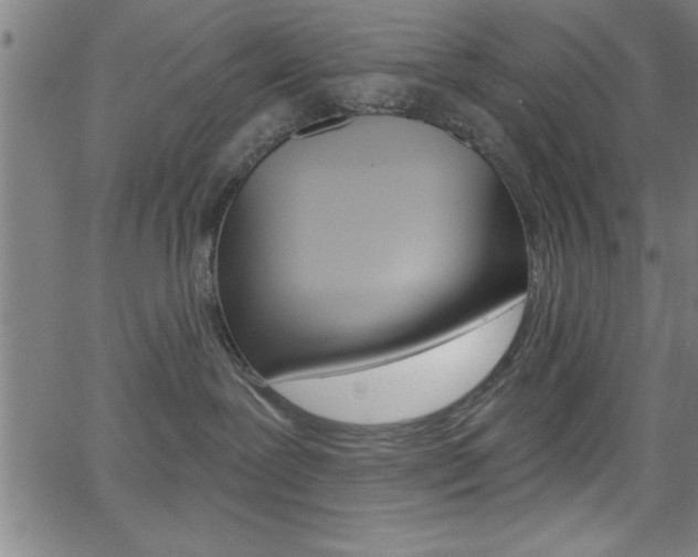 X0000065970239200603030913