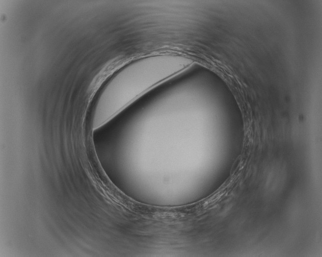 X0000065970242200603030912