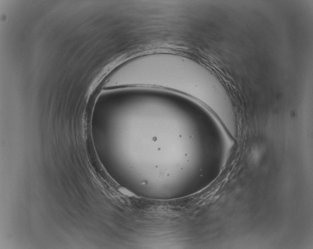 X0000065970244200603030912