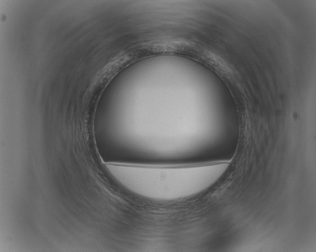 X0000065970258200603030912