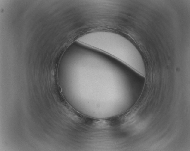 X0000065970269200603030912
