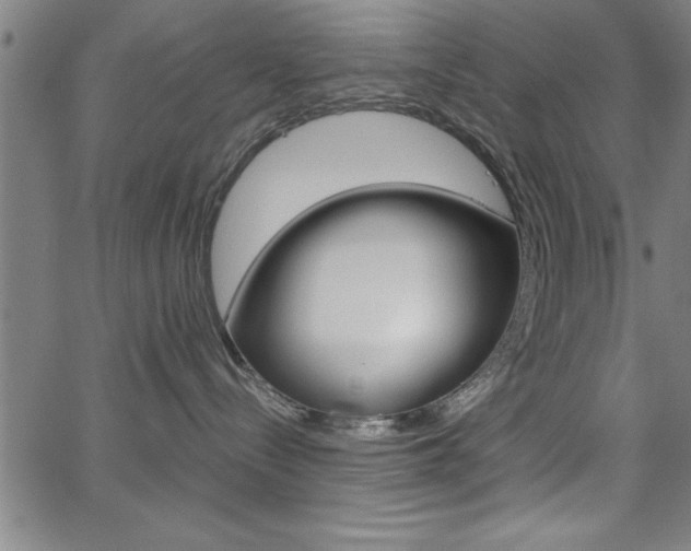 X0000065970288200603030912