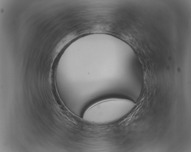 X0000065970292200603030912