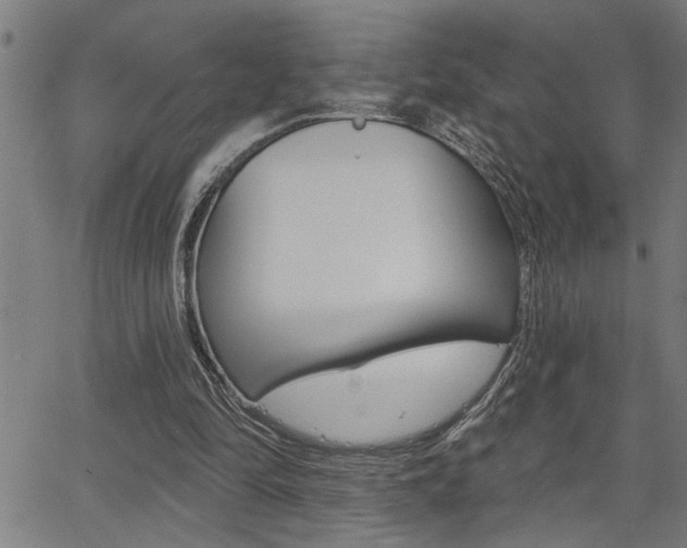 X0000065970294200603030912