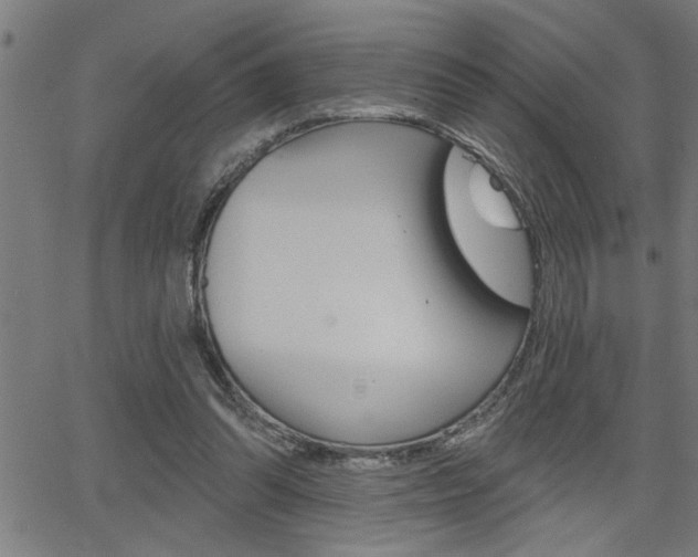 X0000065970302200603030911