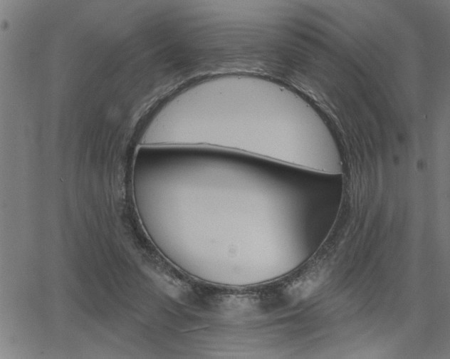 X0000065970303200603030911