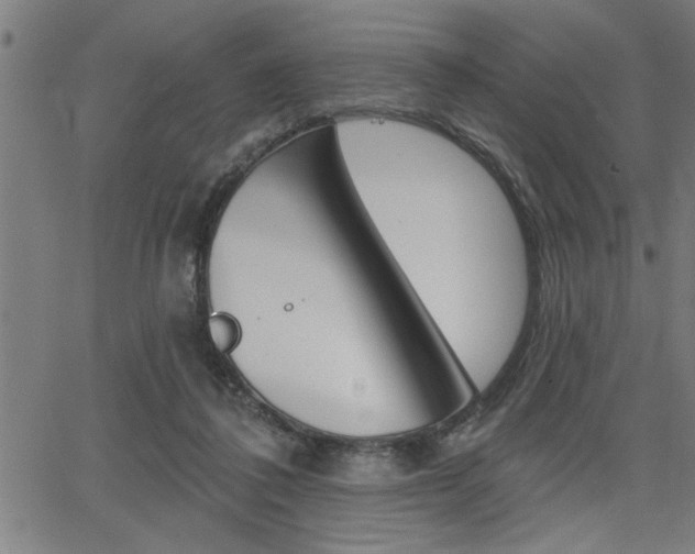 X0000065970308200603030911