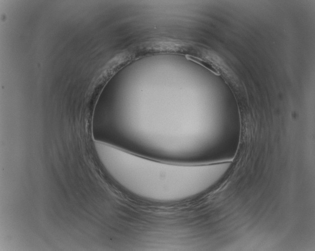 X0000065970309200603030911