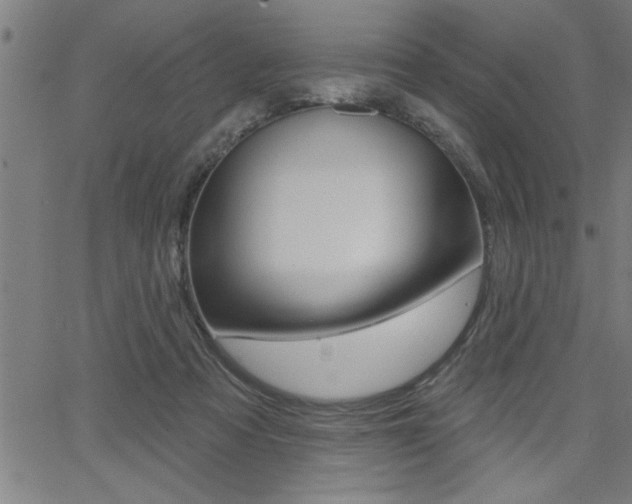 X0000065970313200603030911