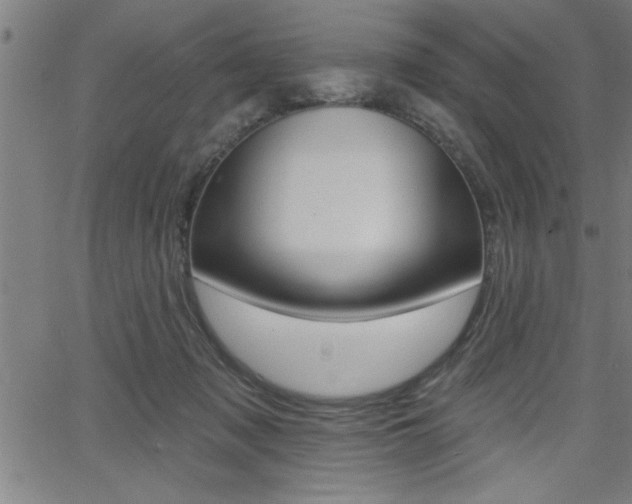 X0000065970317200603030911