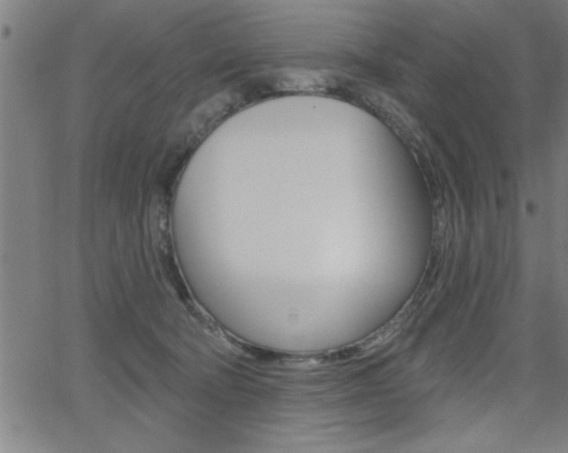 X0000065970322200603030911