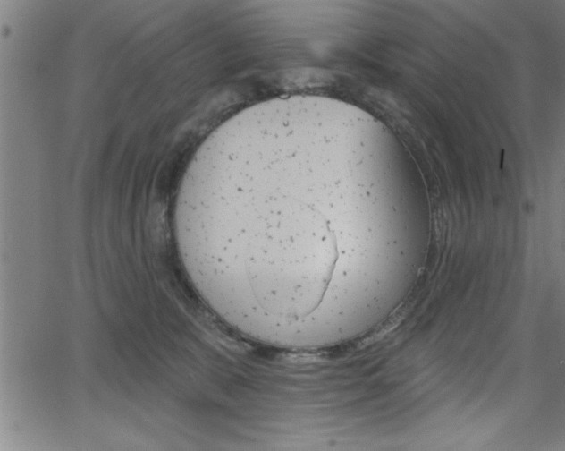 X0000065970327200603030911