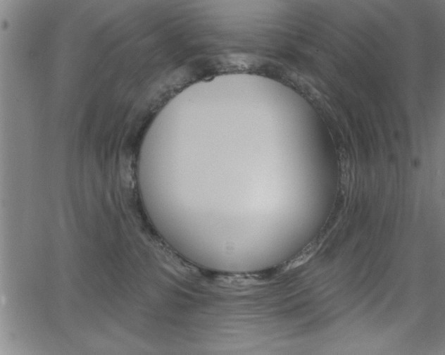 X0000065970331200603030911