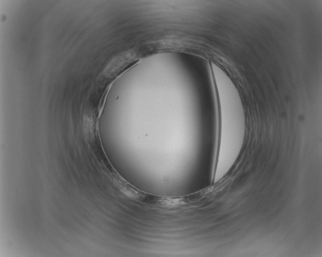 X0000065970333200603030911