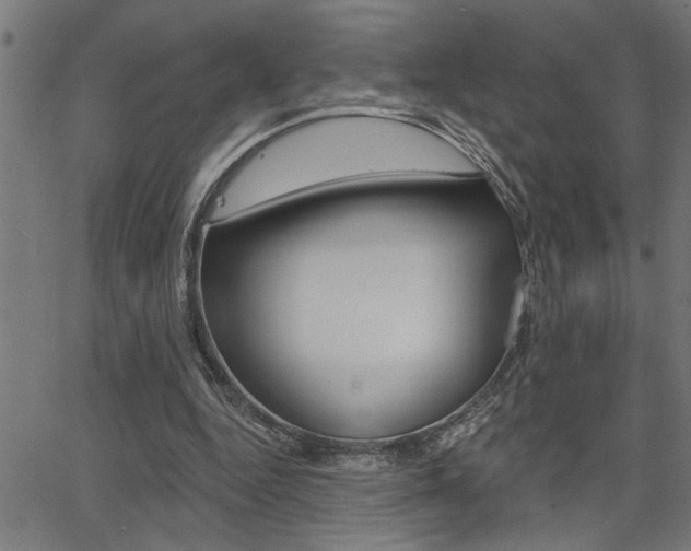 X0000065970344200603030910