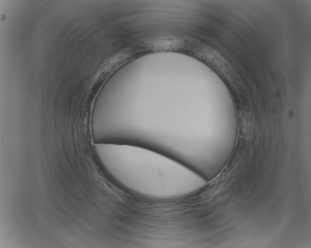 X0000065970357200603030910