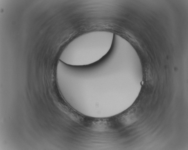 X0000065970362200603030911